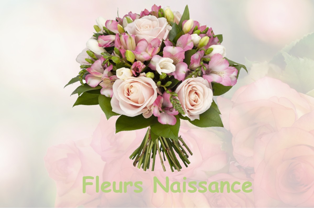 fleurs naissance CHAPOIS