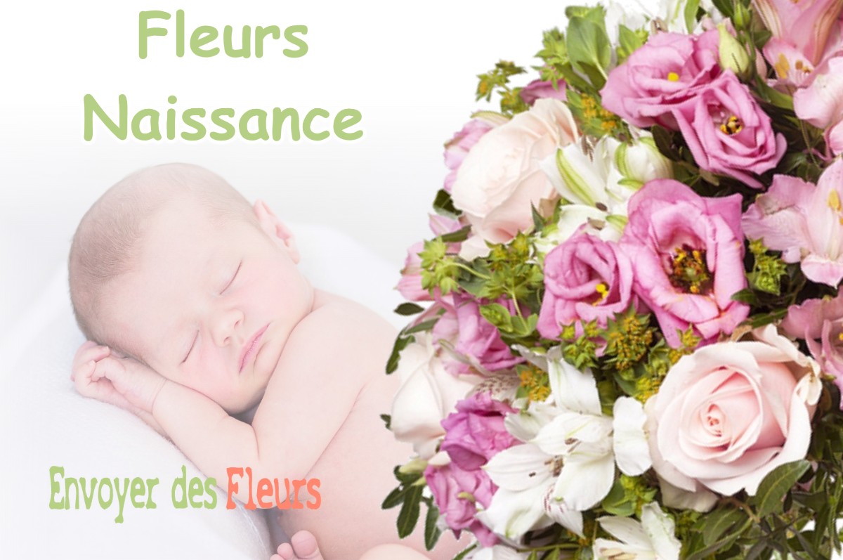 lIVRAISON FLEURS NAISSANCE à CHAPOIS